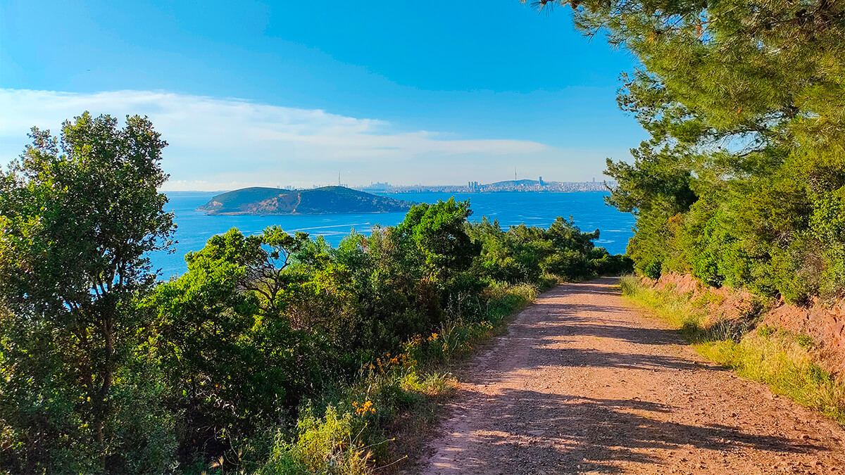 Sefa Yamak, OPPO Reno5 Serisi ile İstanbul'da Yazın Gelişini Fotoğrafladı