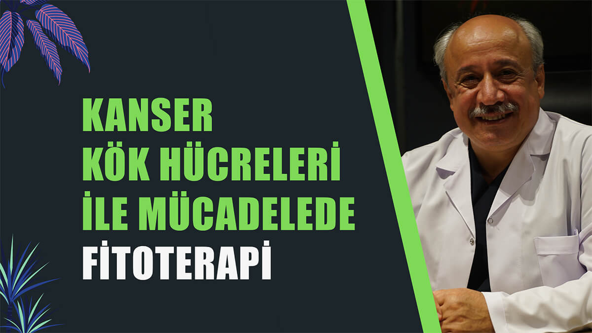 KANSER KÖK HÜCRELERİ İLE MÜCADELEDE FİTOTERAPİ