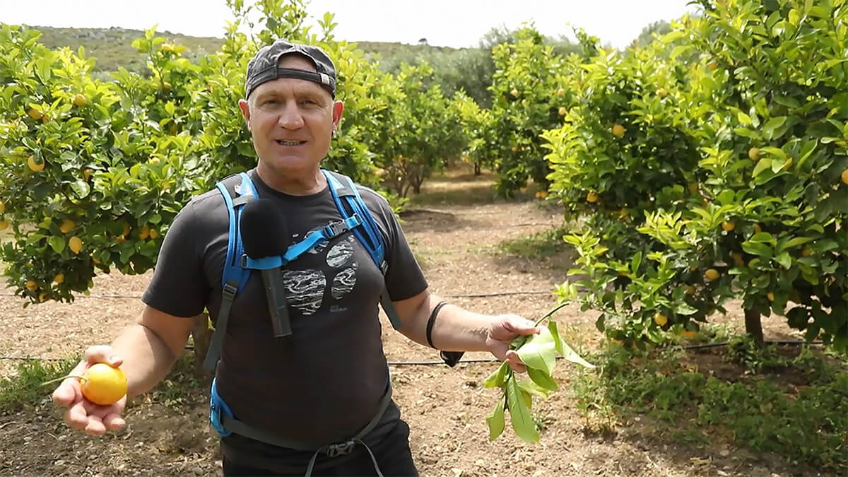 Fairy’den Çeşme Limonu’na Destek...