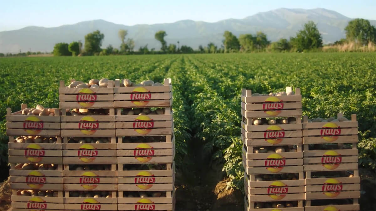 Lay’s yerel üretimi destekliyor