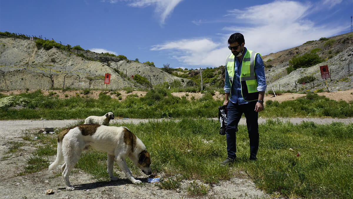 Osmangazi EDAŞ tatil döneminde de sokak hayvanlarını yalnız bırakmadı