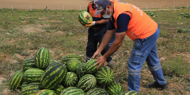 Gölbaşı Belediyesi Hem Çiftçiye Hem Vatandaşa Yardımlarına Devam Ediyor…