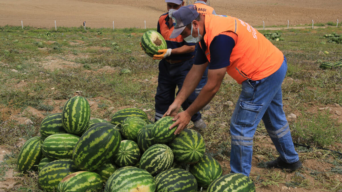 Gölbaşı Belediyesi Hem Çiftçiye Hem Vatandaşa Yardımlarına Devam Ediyor…