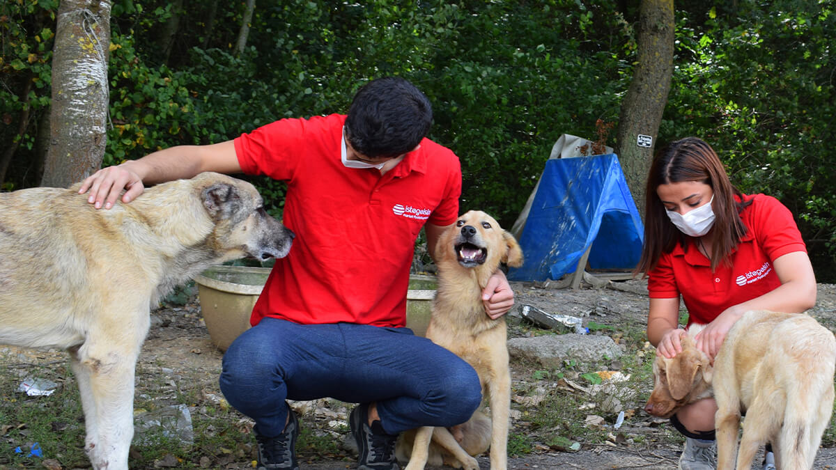 istegelsin’den sokaktaki patili dostlarımıza destek