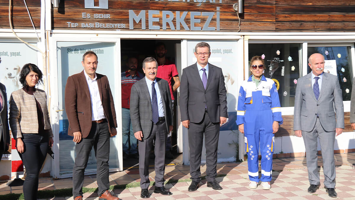 OEDAŞ sokak hayvanlarının tedavisi ve bakımı için Sağlık Odası açtı